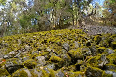 DSC_5958 (Large).JPG